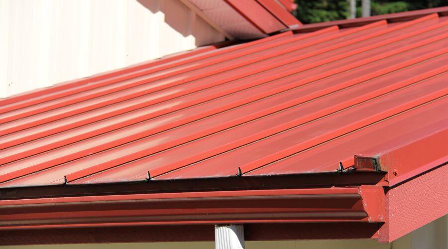 Fascia Gutter Cleaning in Worthing, SD